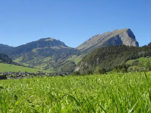 Haus Alpina