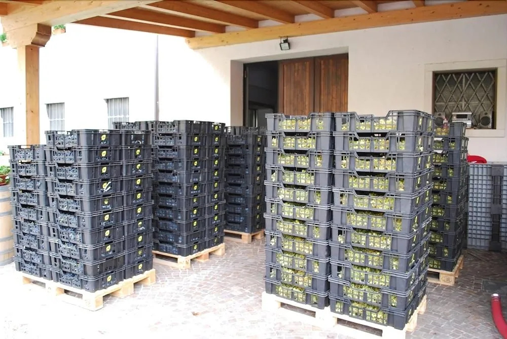 Agriturismo Salizzoni