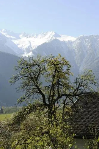 Oberstockachhof