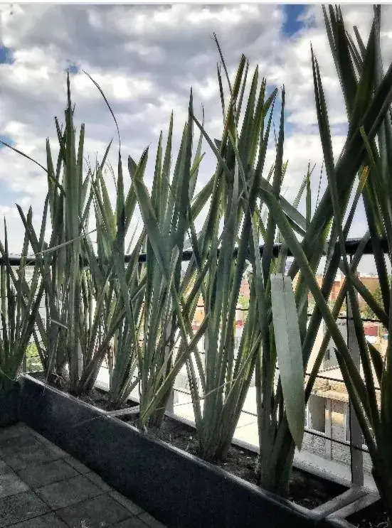 Céntrico departamento Ciudad de México