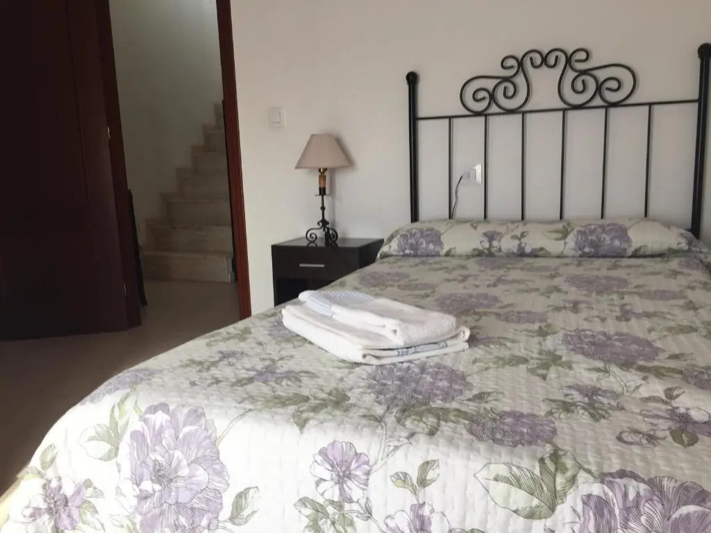 Vetonia Home
