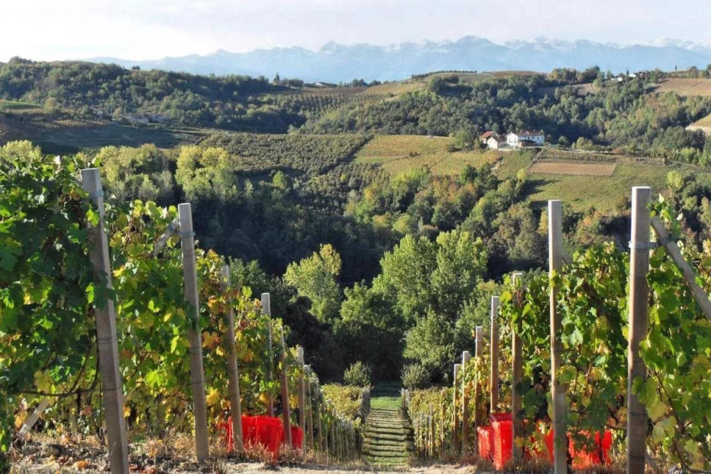 Agriturismo Cantine Bevione - Family Apartments with panoramic view
