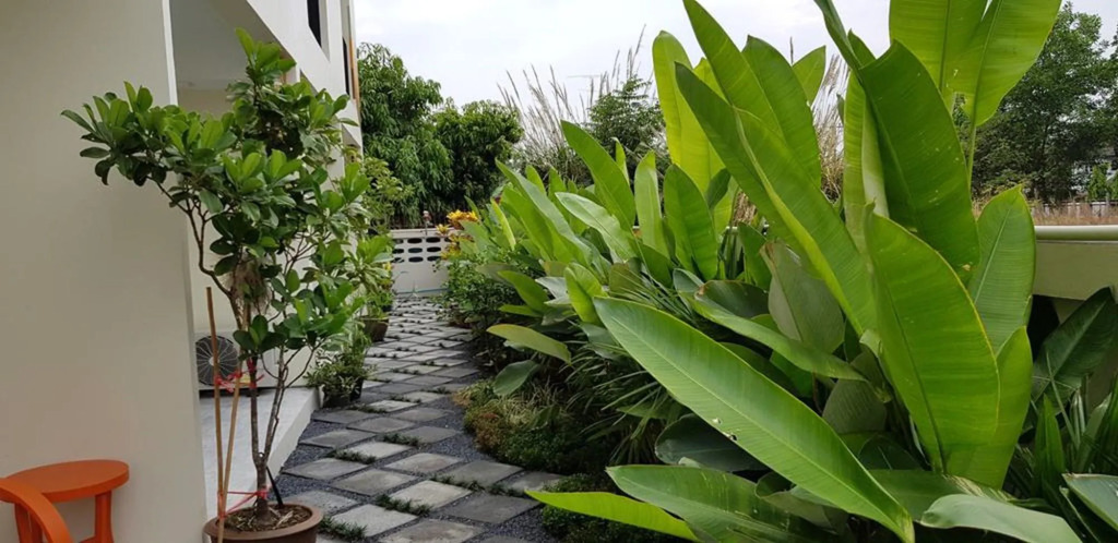 iRabbit Hotel