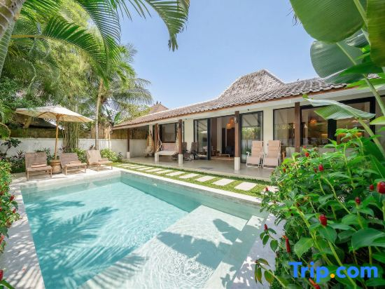 Udara villa - 4 BR villa with Private Pool and Garden
