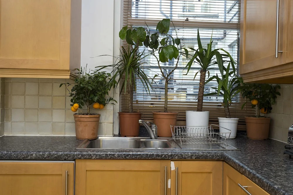 Spacious Flat In Central London