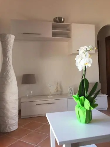 Case Vacanze - Le Bacche di Maiorca