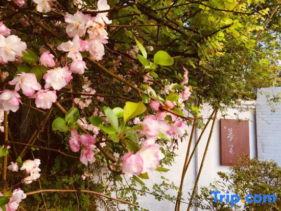 Mengli Homestay (Mianzhu Lanshan Chu)