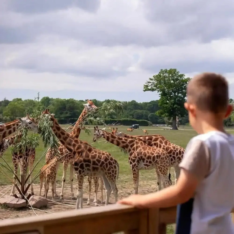 Knuthenborg Safaripark