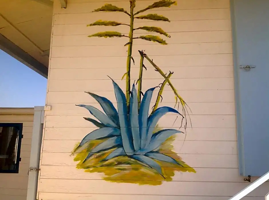 Blue Bab B&B