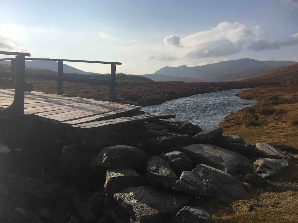 Live in the Realm of the Musk Oxen on Dovrefjell