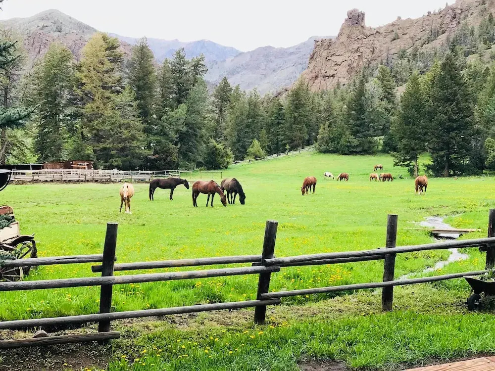 The Historic UXU Ranch