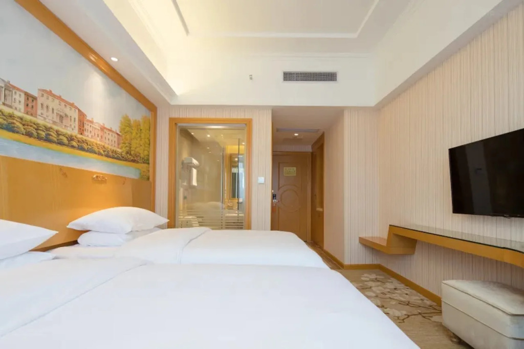 Vienna Hotel (Shenzhen Henggang Metro Station)