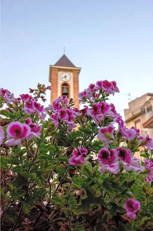 Palazzo montagna
