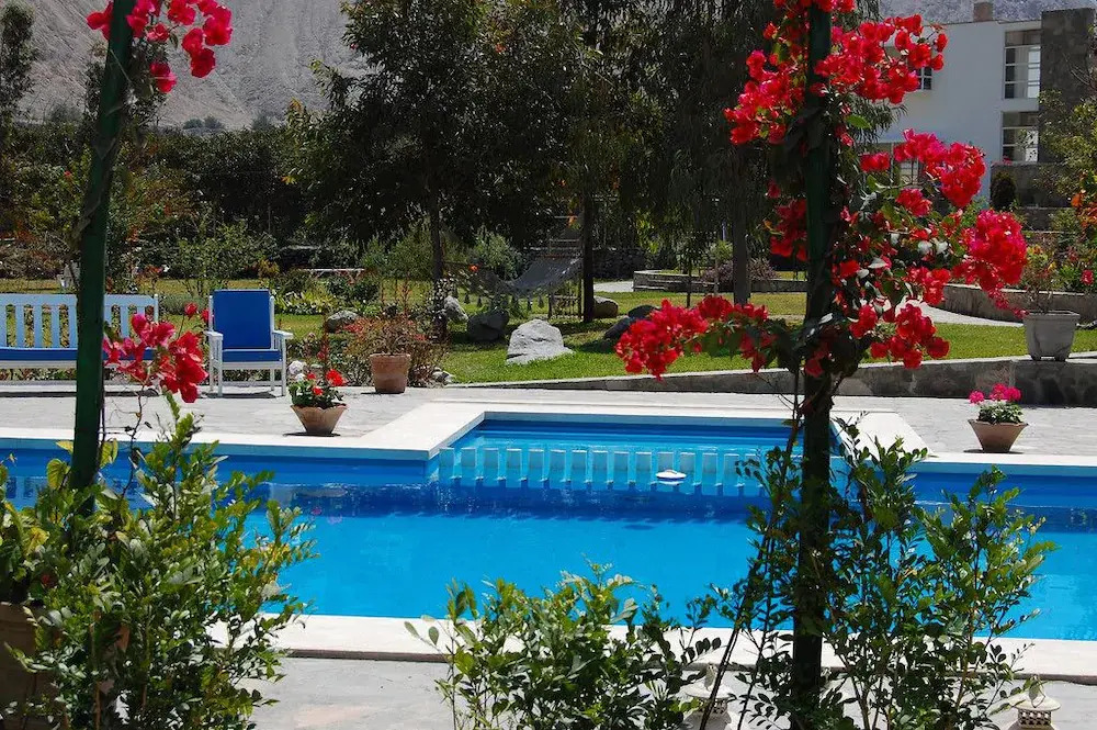 Hotel Los Palomos