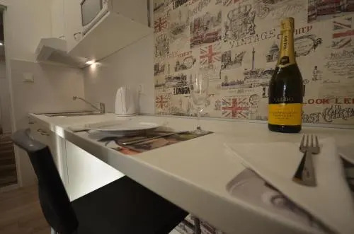 Downtown Luxury Apartment