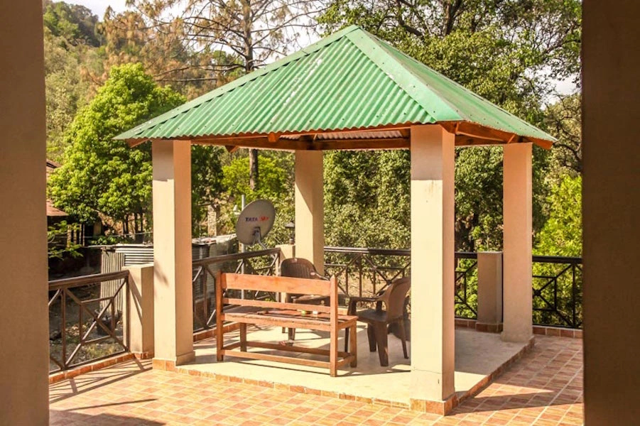 The Camphor Tree - Pura Stays