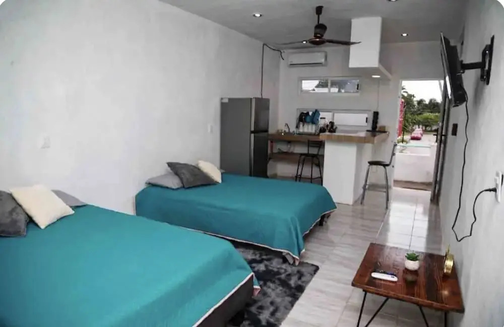 Studios erizo
