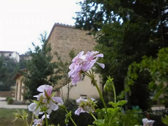 Agriturismo La Molinella