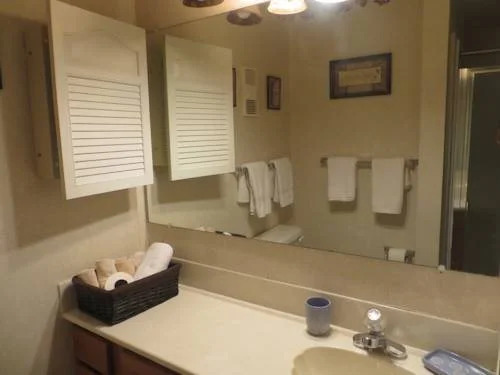 Gatlinburg Relaxation Properties