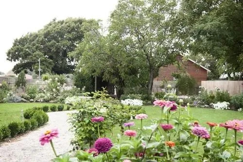 White Dove Cottage Bed and Breakfast