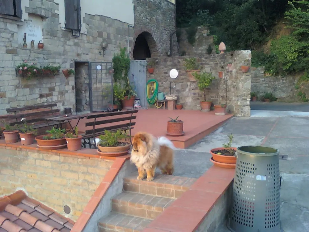 Madonna del Poggio B&B