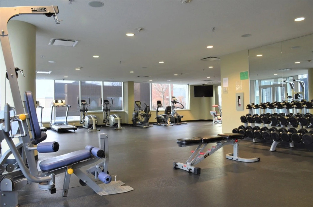 Suite Digs Alura
