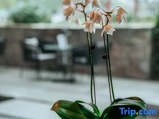 Tonghua Hotel