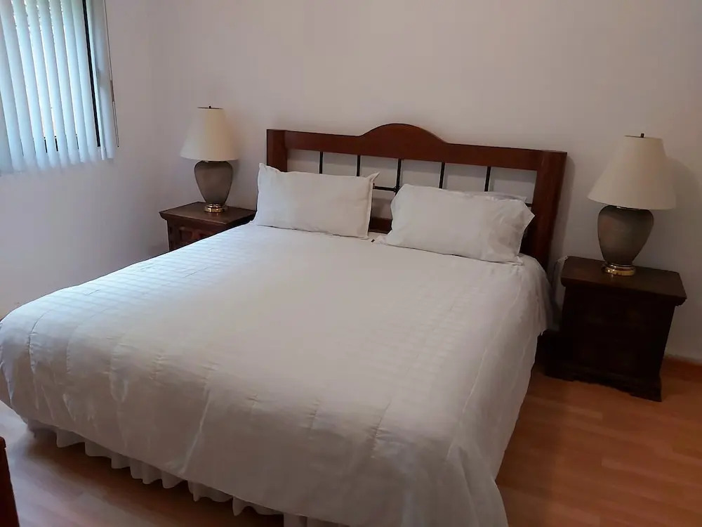 Steinhaus Homero