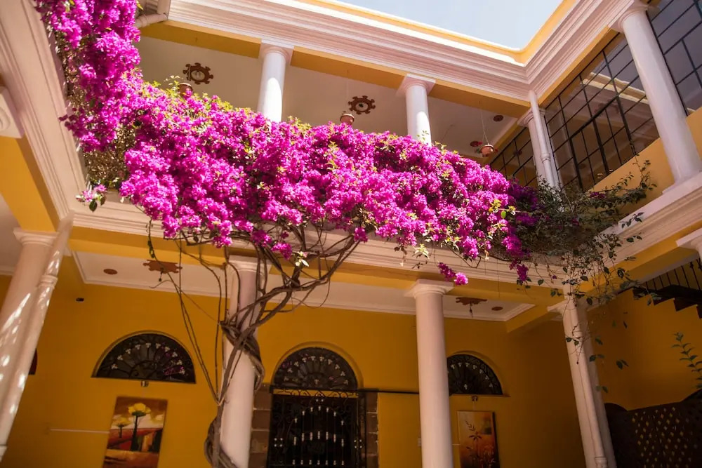 Colors House