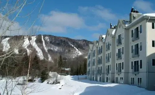 Chalet 620 Chemin du Hibou 224