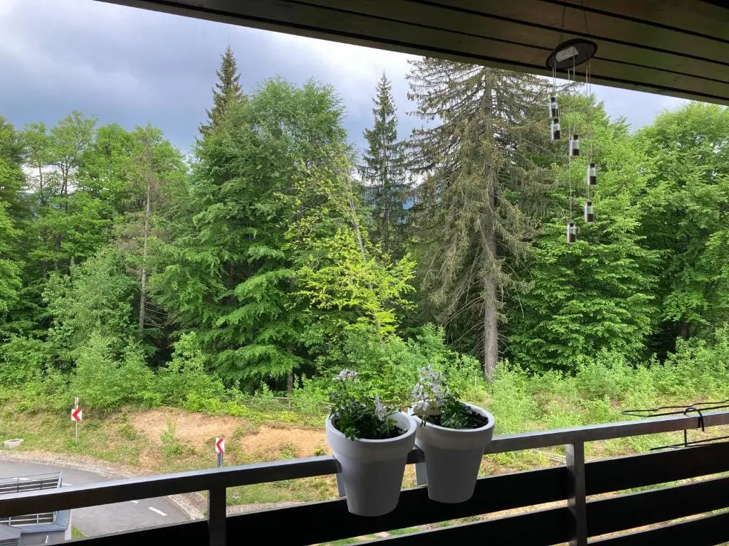 TIAM Apartment Silver Mountain D17, 3 rooms, 3 terraces, 3 bathrooms