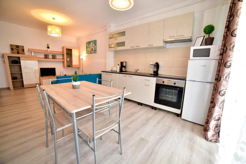 Apartament Central Silva