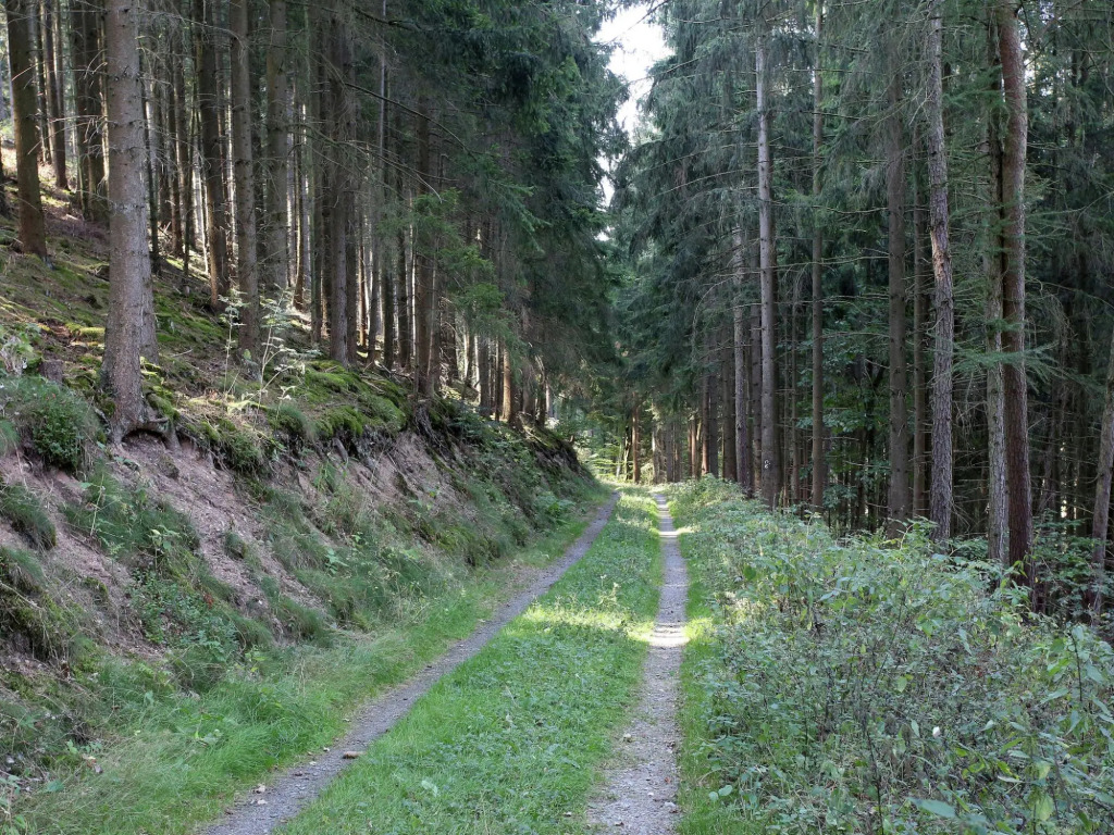 Rustikales Medebach-Ski-Retreat