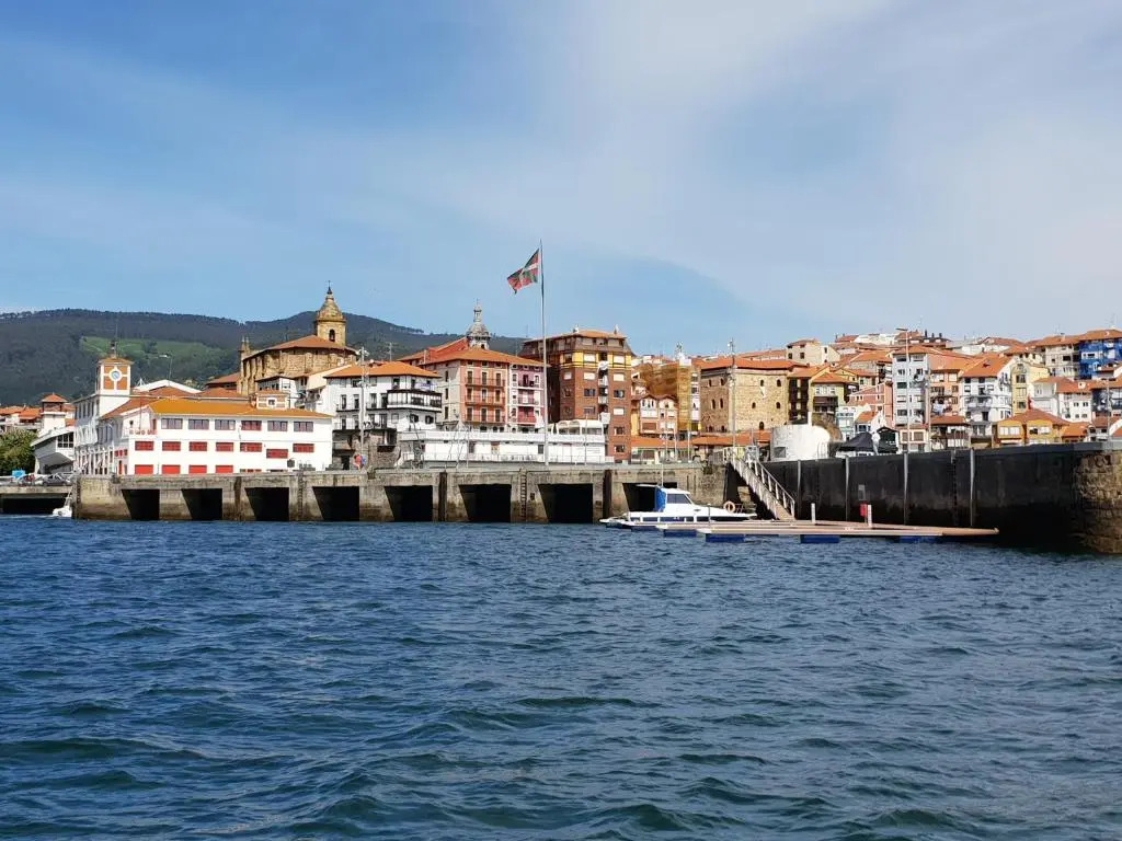 Apartamentos Bermeo, Museoa