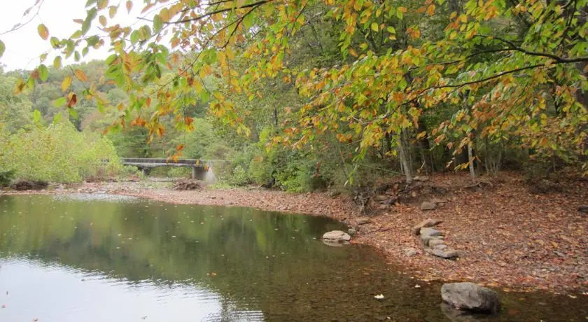 Dry River Cabin
