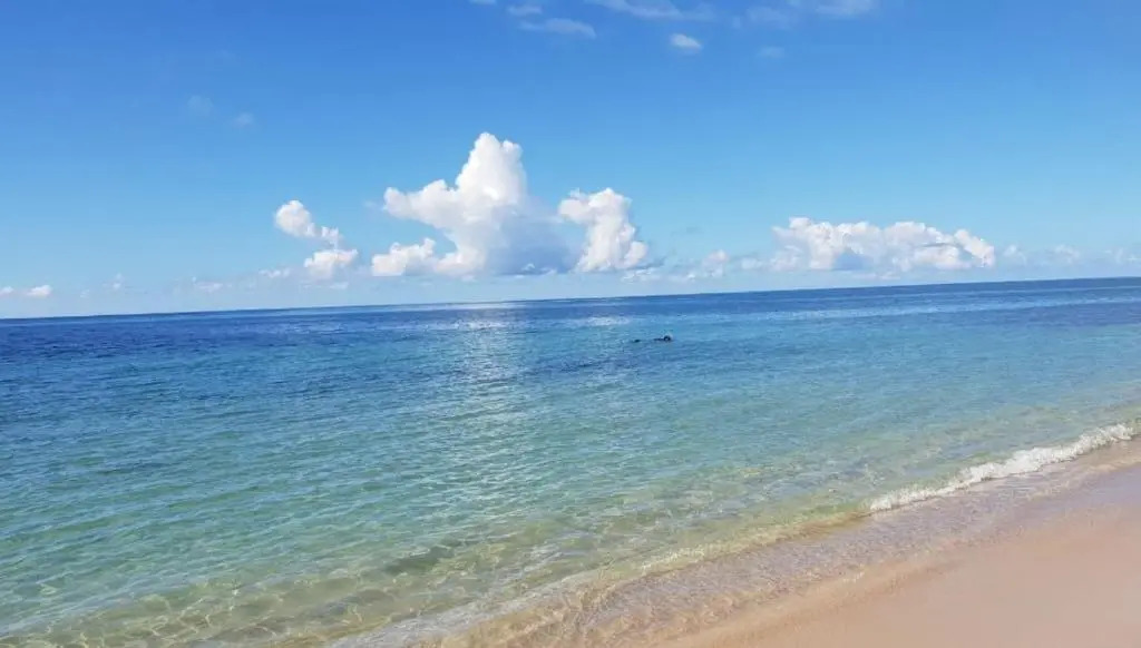 L'Appartement Paradisiaque A Hammamet Et Nabeul