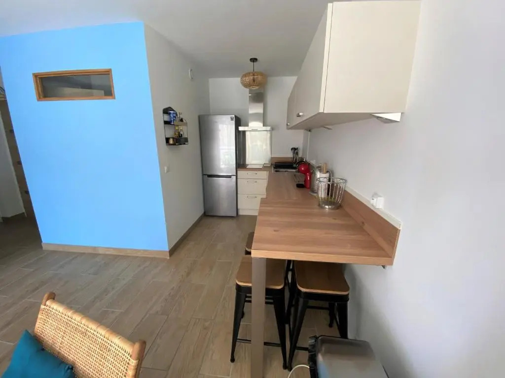 Appartement Arcachon, 2 pièces, 4 personnes - FR-1-420-110