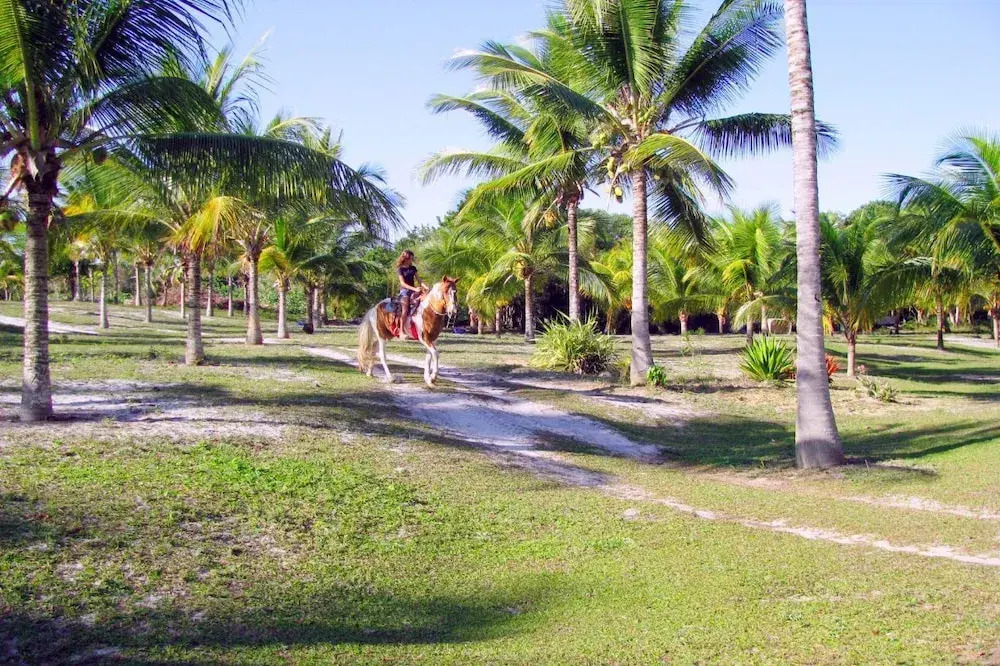 Fazenda Amendoeira.