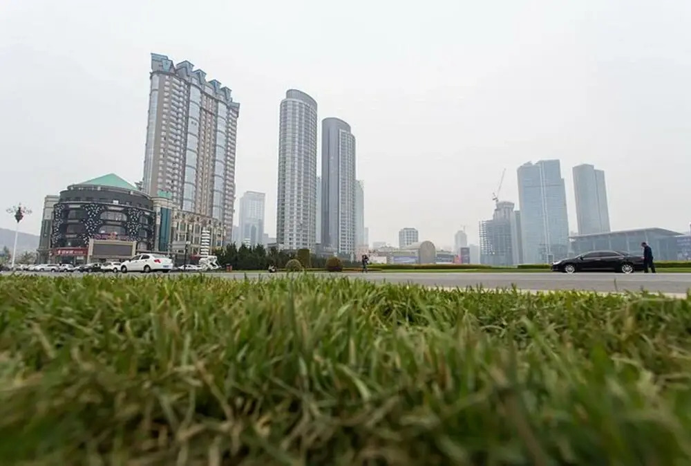 Dalian Haiyue Bay Hotel Xinghai Plaza Branch