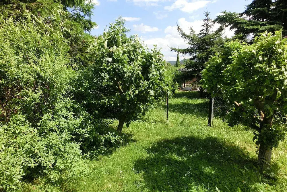 Holiday Home in Cattenstedt Harz With Garden