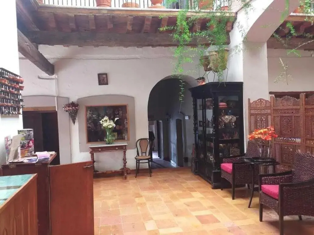 Casa del Pingorongo
