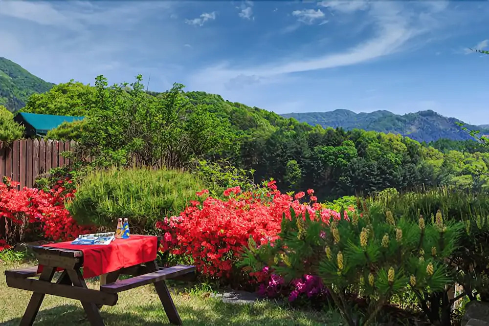 Yangpyeong Nature Story Pension