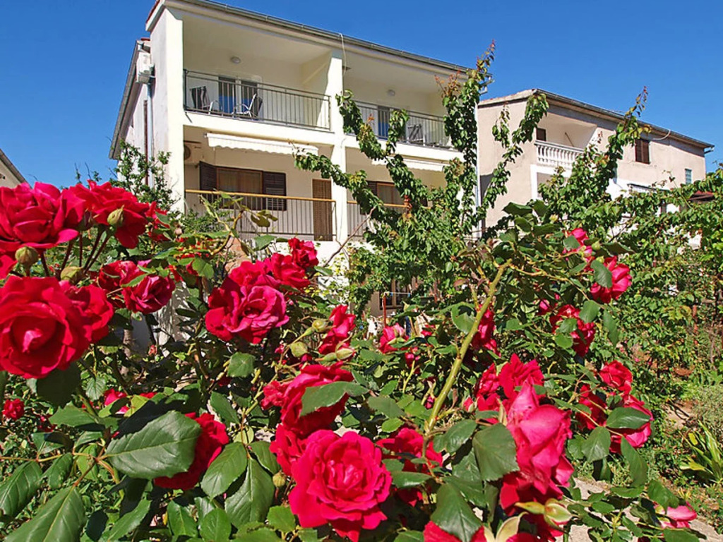 Apartment Ivka Cervia 10688