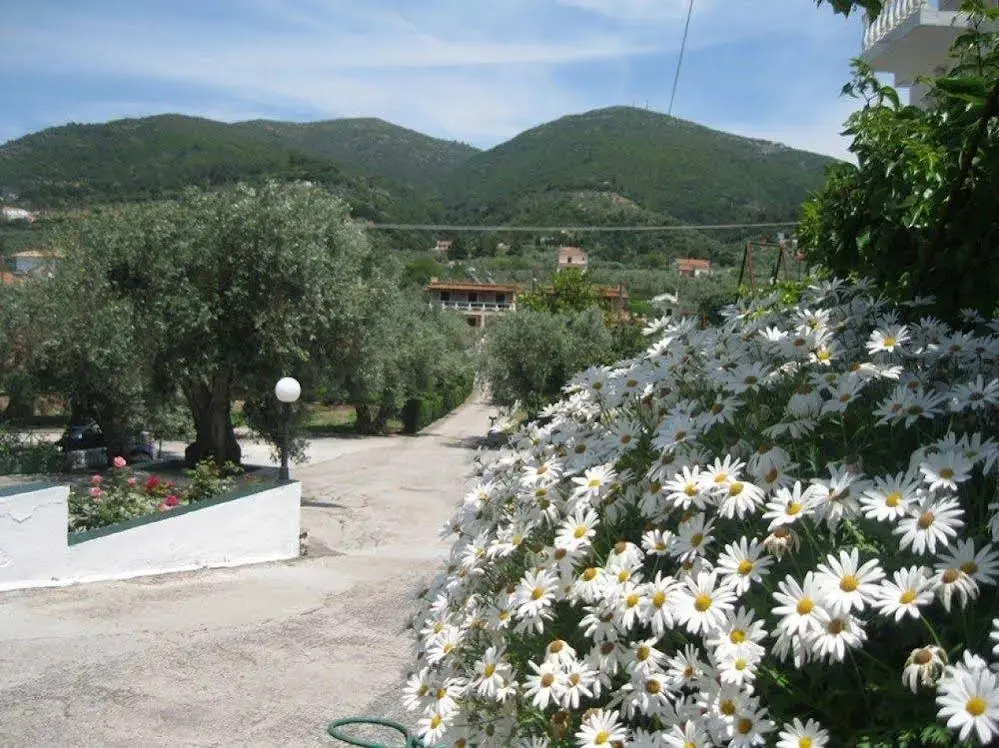 Pefkos Studios