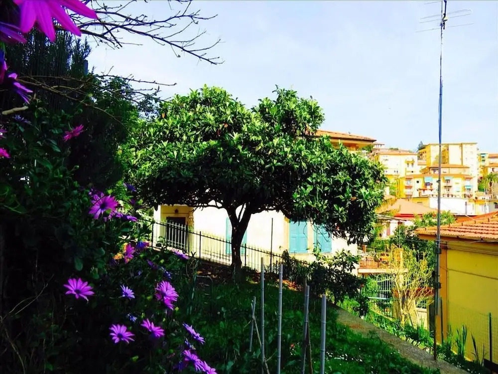Levante Blu