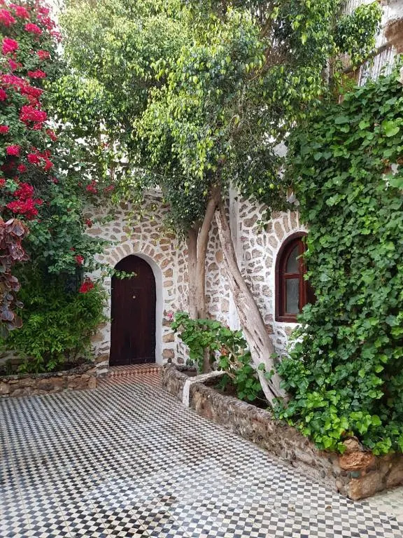 SIDI KaouKI PERLA