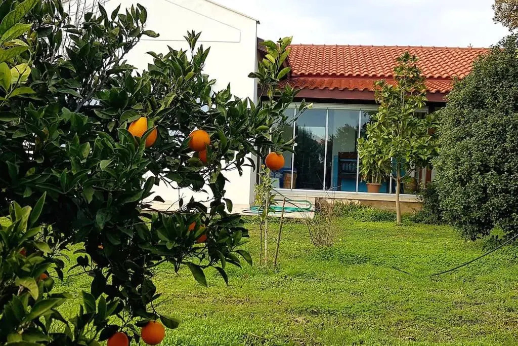Villa nar
