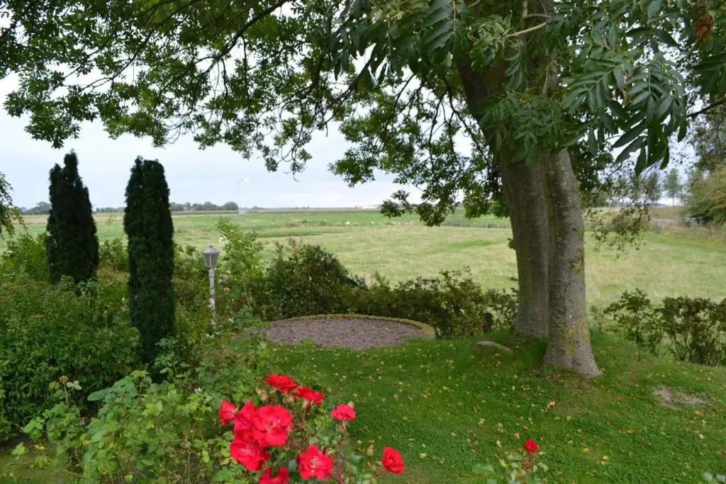 Rosenkate
