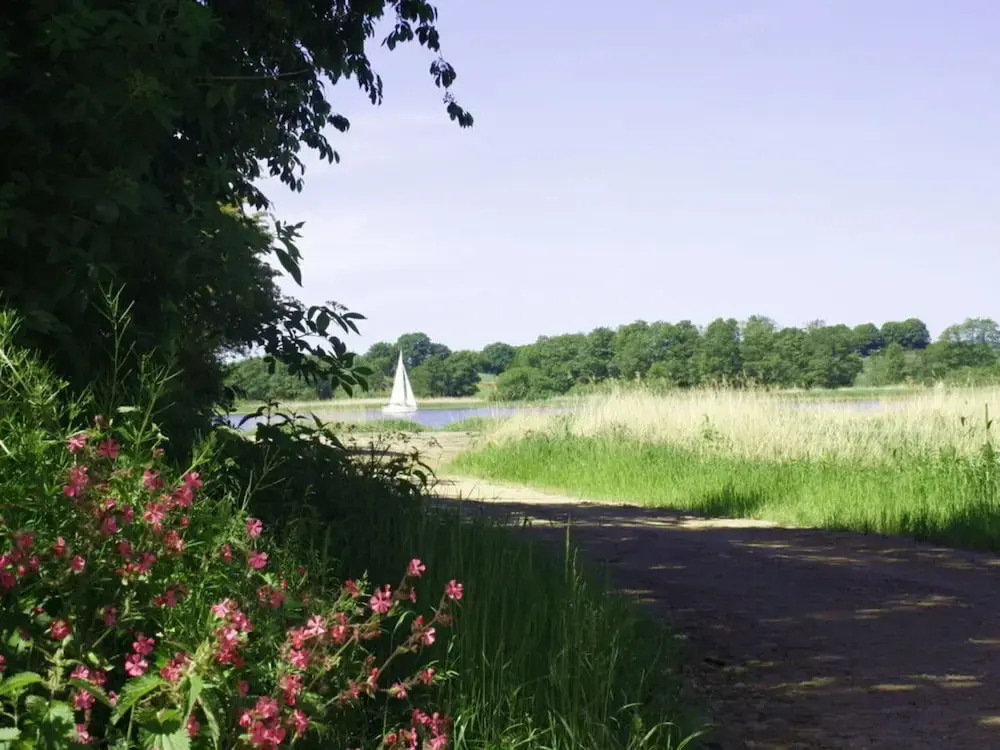 Luxury Holiday House "schleibrise"