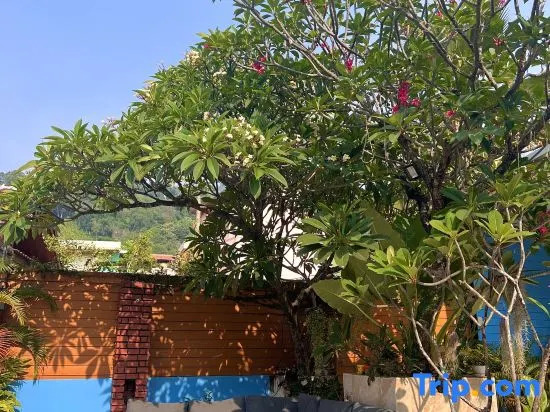 Baan Kasemsuk Guesthouse